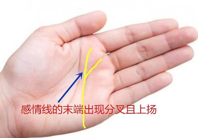 感情线分叉,是比较常见的一种手相特征.