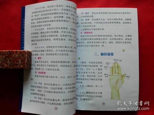 《四部医典》之藏医放血疗法图解(《藏医放血疗法》的修订版,汉藏文