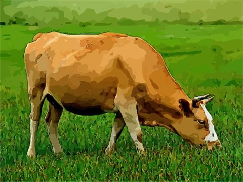 属牛今年多大了2023年2023年属牛运势如何