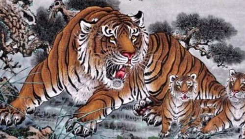 3,虎是森林之王,属虎的人爱冒险,不冻亚,他们遇到困难是越挫越勇