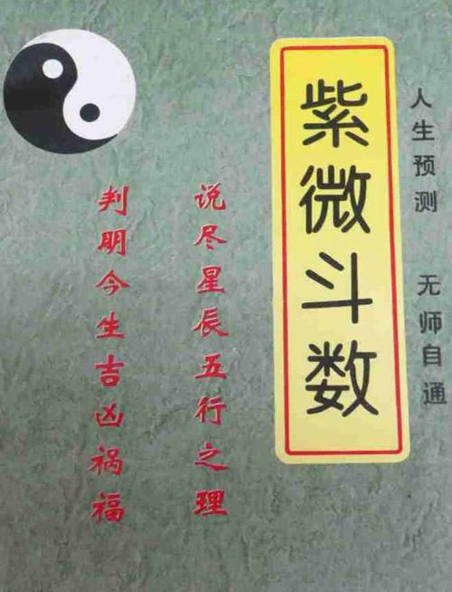 p>《白话紫微斗数》是2003年林郁文化出版的一本图书,作者是郭彬.