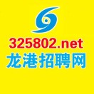 龙港人才网