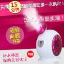 巧夫人果蔬面膜蒸脸器
